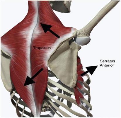 Stability and Mobility
