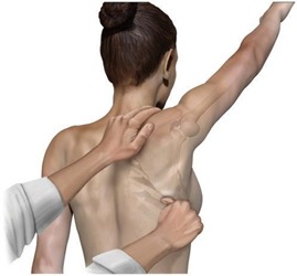 Scapula Assistance Test